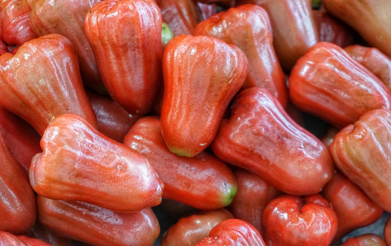 黑珍珠蓮霧 縮圖 4